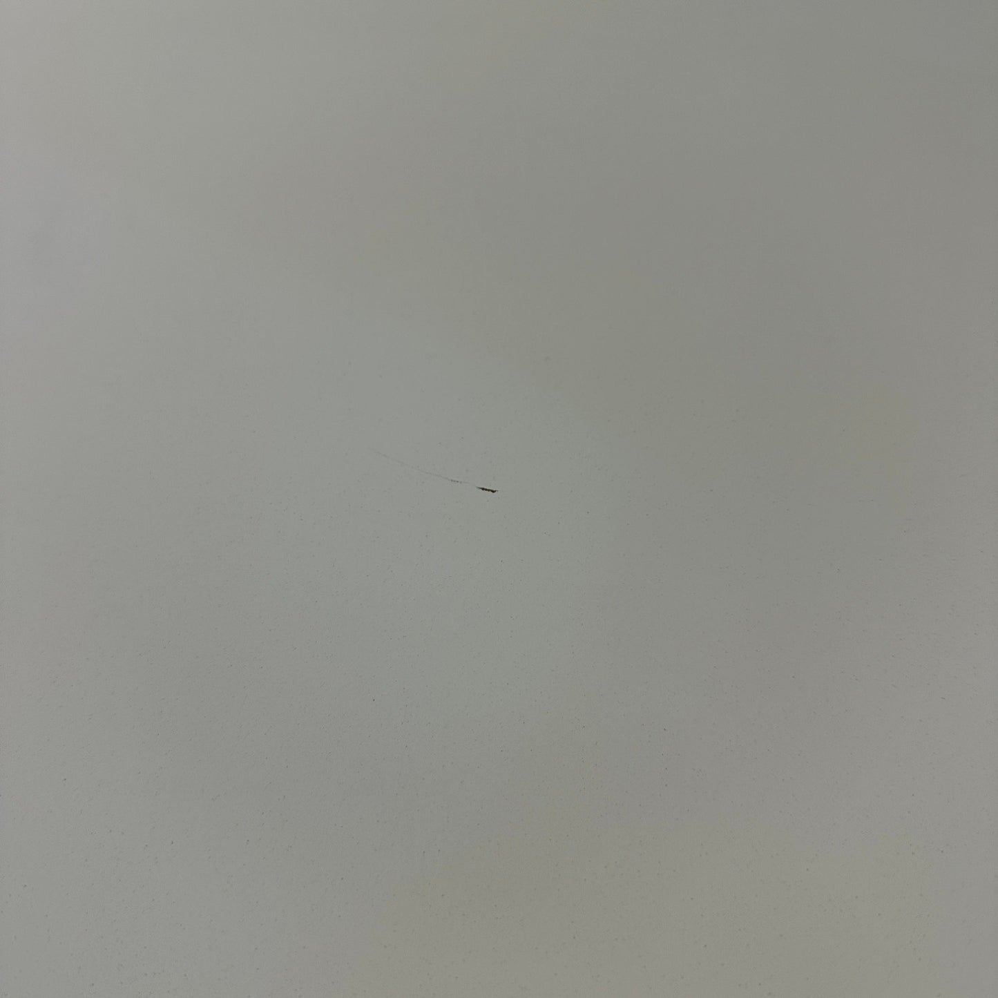 Havenly Curved Modern 6 Drawer White Dresser