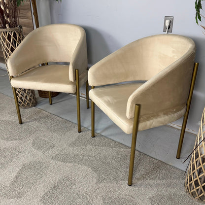 2 Rove Concepts Solana Dining Chairs